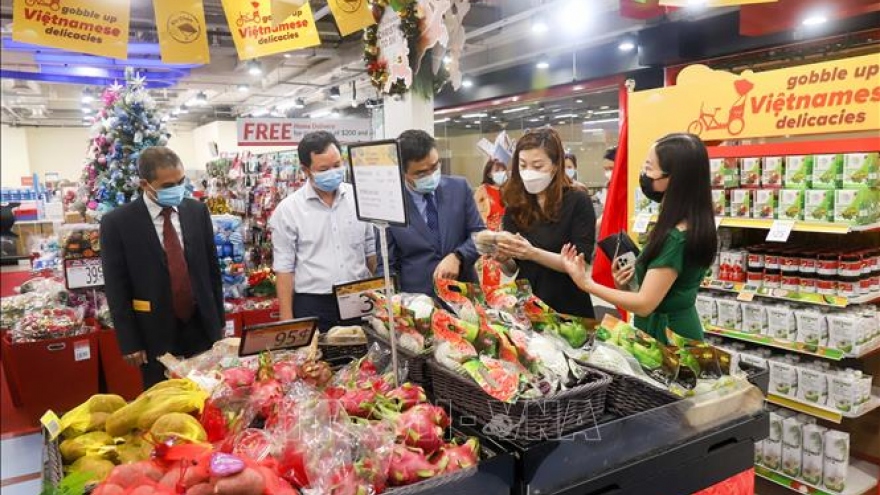 Ample room ahead for Vietnamese goods to penetrate Singaporean market